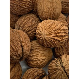 Spuun Foods Eastern Black Walnuts In Shell 1 Pound