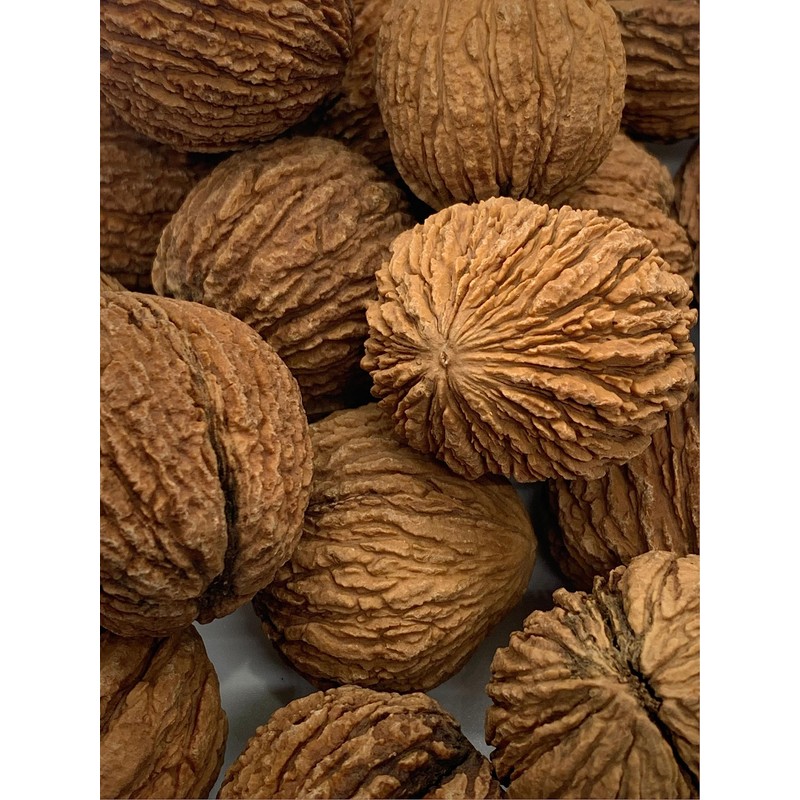 Spuun Foods Eastern Black Walnuts In Shell 1 Pound