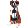 ATCS Realistic Boxer Puppy Dog Garden Sculpture Holding Solar LED