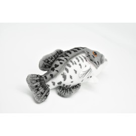 Black Crappie, Realistic, Lifelike, Very Nice Plush Fish 7" F4602 BB60