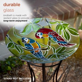 Alpine Corporation Alpine Corporation 18" Round Outdoor Birdbath Bowl Topper with Colorful Painted Parrot Design