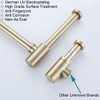 RANDOM Brushed Gold Brass Round Bottle P Trap Kit with