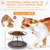 FoiiLiio Ceramic Cat Feeding Bowl Set of 2