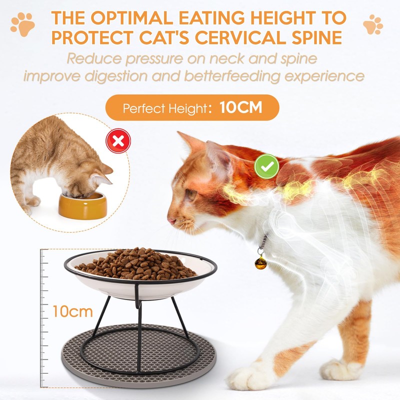 FoiiLiio Ceramic Cat Feeding Bowl Set of 2