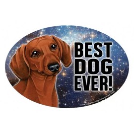 Dachshund Red BEST DOG EVER! Oval 4"x6" Fridge Car Magnet Large Size USA Made