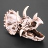 Ausla Dinosaur Skull Model Triceratops Dilophosaurus Resin Skull Figure Model