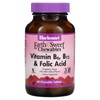 EarthSweet Chewables, Vitamin B6, B12 and Folic Acid, Raspberry, 60