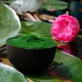 Spirulina Platesis Powder - Premium Quality 500g