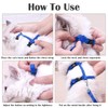 3 Pack Kitten Harness, Cat Harness and Lead Set, Adjustable
