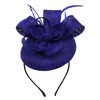Biruil Fascinators Hat for Women Girls Sinamay Flower Feathers Tea