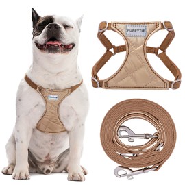 No Pull Dog Harness with Multifunction Dog Leash,Soft Adjustable No Choke Escape Proof Pet Harness Vest for Medium Dogs,Glossy Oat Brown,M