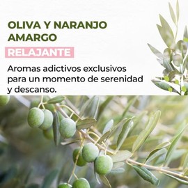 Yves Rocher MAXI SET Corporal aroma OLIVA Y NARANJO: Crema fluida (390 ml) + Gel de ducha (400 ml)