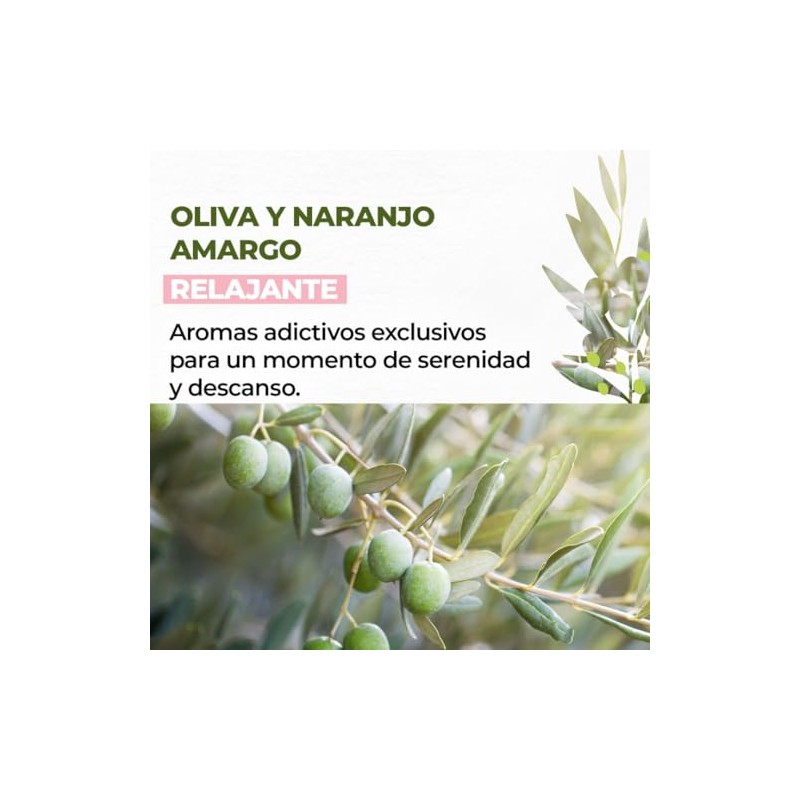 Yves Rocher MAXI SET Corporal aroma OLIVA Y NARANJO: Crema