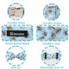 Maca Bates Blue Bee Dog Collar with Bow Bowtie for
