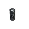 Ford Valve Springs 3C3Z-6513-AA