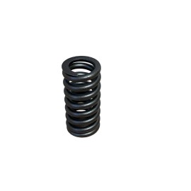 Ford Valve Springs 3C3Z-6513-AA