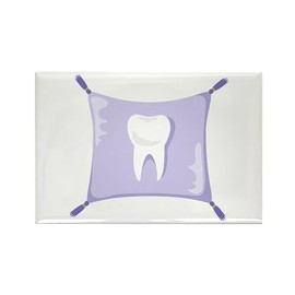 CafePress Tooth Fairy Pillow Magnets Rectangle Magnet, 2"x3" Refrigerator Magnet (10 pack)