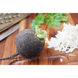 RAISE ME UP: Seeds Black Spanish Round Radish Non GMO Heirloom