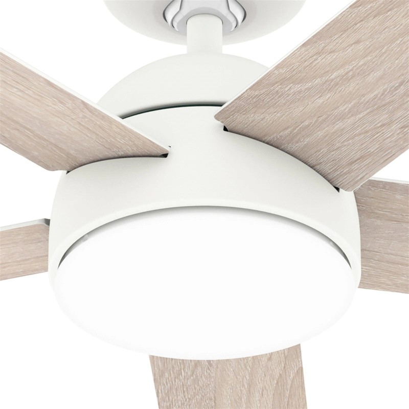 Hunter Fan 52 inch Casual White Indoor/Outdoor Ceiling Fan with