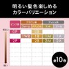 Kao Blaune Lumiest Hair Color Gray Hair Dye 1WB Warm