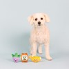 Fringe Studio Plush Dog Toy Set, Just Add Water, Small
