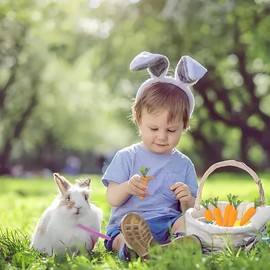 KUMSODE Pack of 12 Simulation Carrots Artificial Vegetables Home & Kitchen Decorations Easter Decorations Party Table Decoration