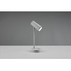 Reality Leuchten Lenny R52661111 LED Desk Light Plastic Grey with