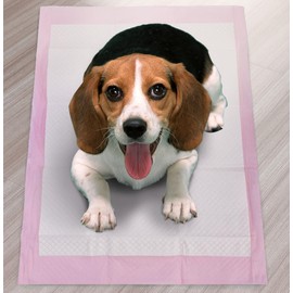 Disposable Puppy and Dog Pee Pads, 20 x 30 inches (17.7*23.6(50pcs))