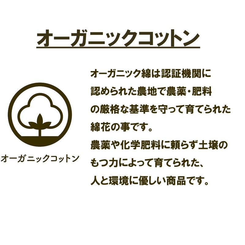 Marushin Ghibli Mini Hand Towel, My Neighbor Totoro, 100% Cotton,
