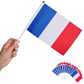Runesol France Hand Flags, 14 x 21 cm, Mini Hand Flags of the Country, Stick Flags, Small France Flags, Wimbledon, Hand Held Flags, Sports, Pack of 12