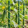 Garden Stakes for Tomatoes, Cucumbers & Climbing Plants – 20-Piece