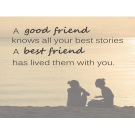 IPISSOI Diamond Painting Kits for Adults Life Quote About Friendship Two Women Friend Positive Abstract Coaching Suitable as Gifts Gem Art Drill and Dot Home Games Home Wall 12 x 16 Inch