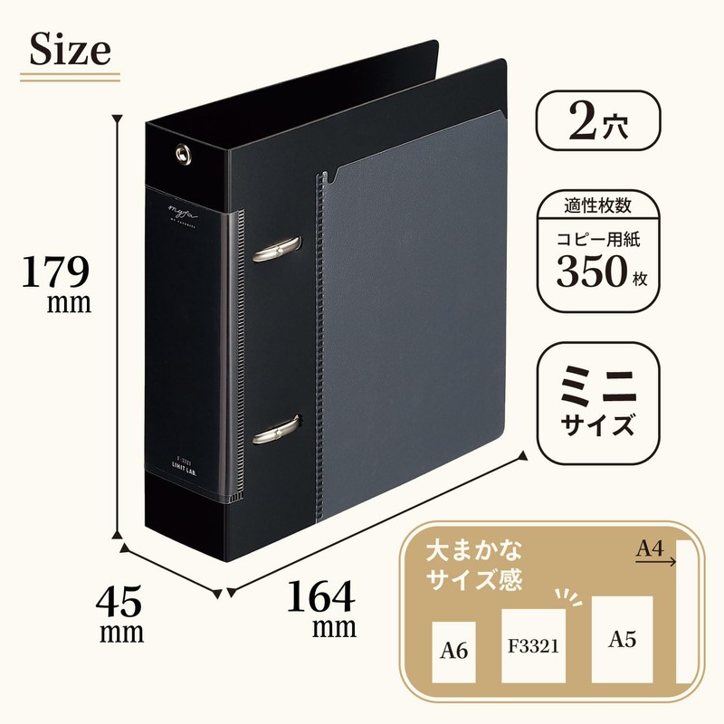 Lihit Lab Myfa Collection File Mini Wide Jet Black F3321-24
