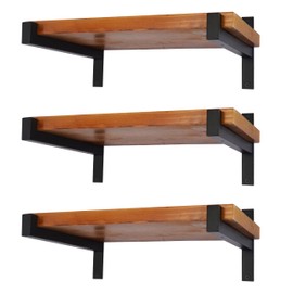 EZYDECOR 6 Pcs Heavy Duty Shelf Brackets 13 Inch Wall Mounted Industrial Metal Shelving Supports with Lip