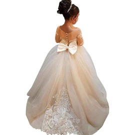 Abaowedding Lace Embroidery Sheer Long Sleeves Kids Trailing Gowns Wedding Party (Champagne, 6)