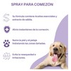 Spray Y Shampoo Alivio Comezón Para Mascota - Perros/gatos