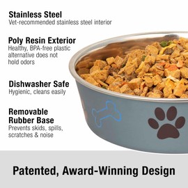 Loving Pets Bella Dog Bowls- Stainless Steel Dog & Cat Bowls - Spill Proof Dog Food Bowl, Cat Bowl, Puppy Essentials & Pet Supplies Great for Home & Travel (Medium 20-35 lbs, Blueberry)