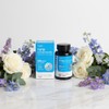 Mongul Cloud Partners GQ Lab Lactobacillus 10 billion Bifidus Probio