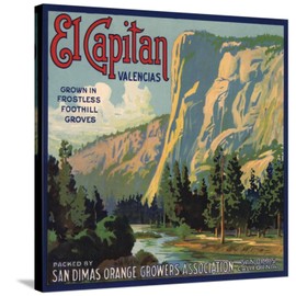 ART.COM Stretched Canvas Print El Capitan Brand - San Dimas, California - Citrus Crate Label by Lantern Press, 30" x 30"
