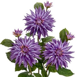 3 flores artificiales moradas de dalia de 29.5 pulgadas, flores de seda falsas con tallo largo, ramos de flores de dalias falsas para bricolaje, bodas, fiestas, centros de mesa, decoración del hogar y