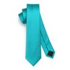 HISDERN Men's Tie Slim Plain Silk Ties for Men Classic