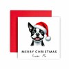 Huxters Christmas Card from the Dog – Boston Terrier -