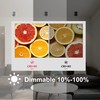 YU MEIL LED COB Adjustable Dimmable Ceiling Spotlight Directional Spotlight