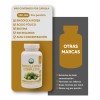 Rhodiola Rosea Complejo Cápsulas 500 Veganas Pasiguaro Energía