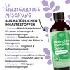 Moringlow Liquid with Organic Moringa & 11 Herbs Natural Diuretic