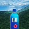 FIJI Natural Artesian Water, 16.9 Fl Oz Bottle (6-Pack)