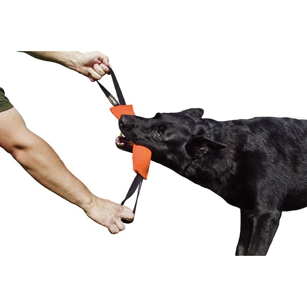 DINGO GEAR Nylcot Bite Tug for Dog Training K9 IGP & Fun, 2 Handles, Orange 28 x 7 cm