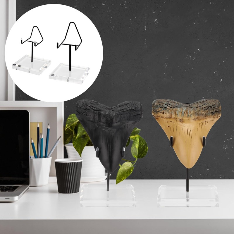 KCGANI Megalodon Shark Tooth Acrylic Base Bracket for 3.5 x