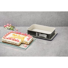 Dr. Oetker Rectangular Sprinform Back Trend