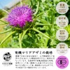 Someoka Farm Organic Maria Thistle Powder, 0.9 oz (25 g),